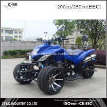 Street Legal ATV for Sale 250cc EEC Trike